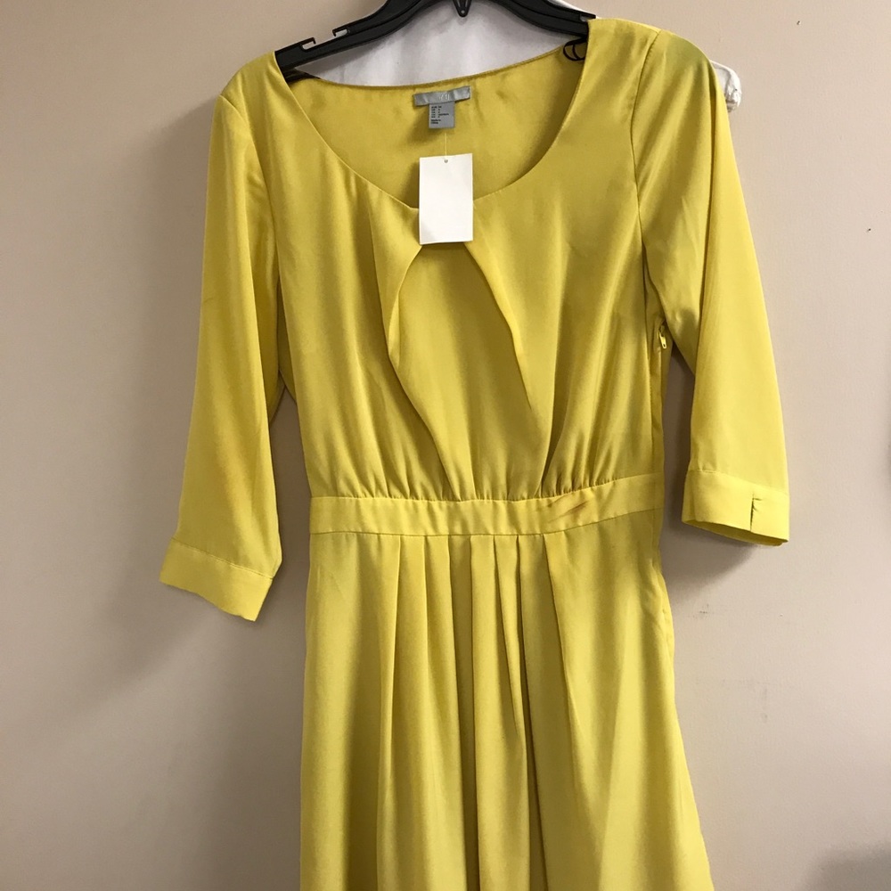Ladies Dress